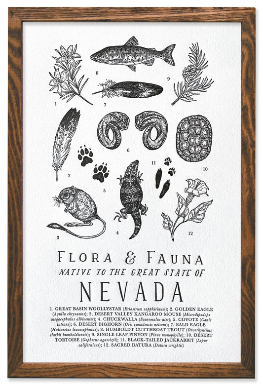 Nevada Field Guide Letterpress Print - Hyper