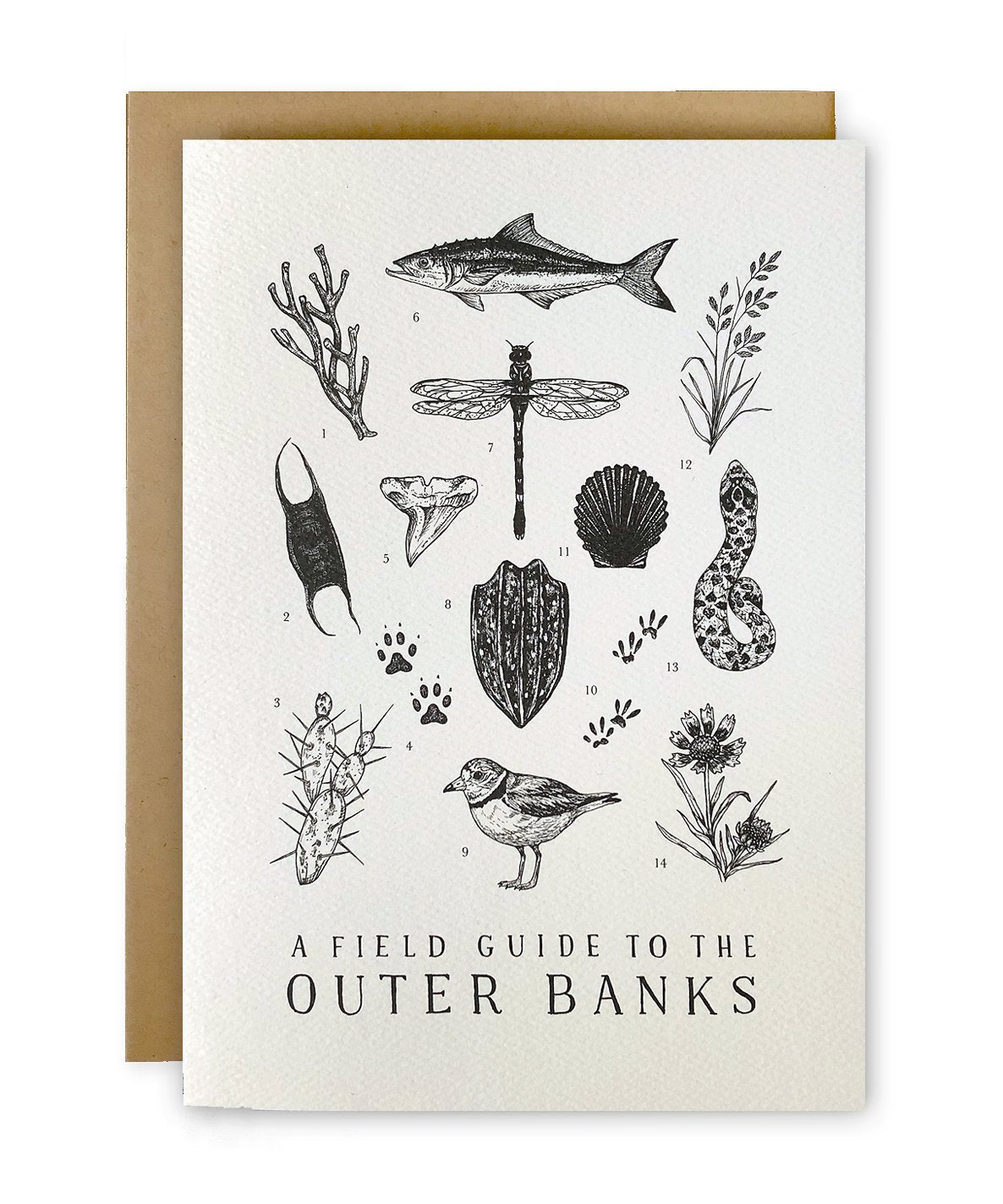 Outer Banks Field Guide Greeting Card - Hyper